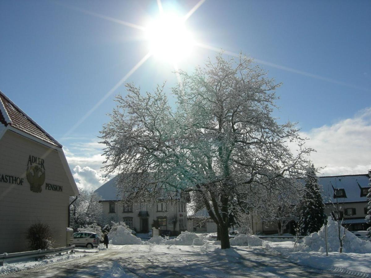 Pension Adler Hotel Bannholz Buitenkant foto